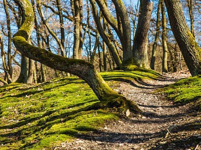 免费呼叫轰炸神器网页版